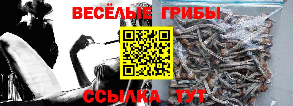 Псилоцибиновые грибы Magic Shrooms Янаул