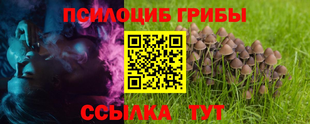 где купить наркотик  Вход с VPN  Янаул  Галлюциногенные грибы Psilocybine cubensis 